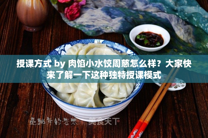 授课方式 by 肉馅小水饺周慈怎么样？大家快来了解一下这种独特授课模式
