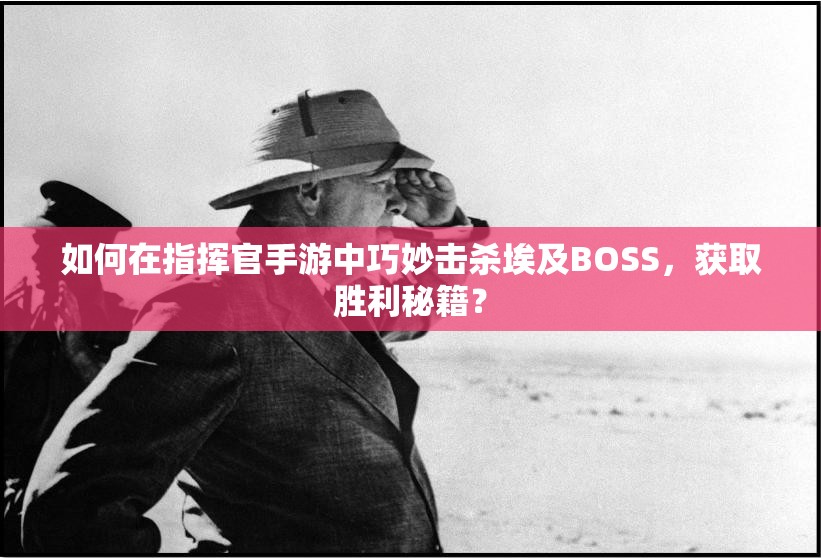 如何在指挥官手游中巧妙击杀埃及BOSS，获取胜利秘籍？