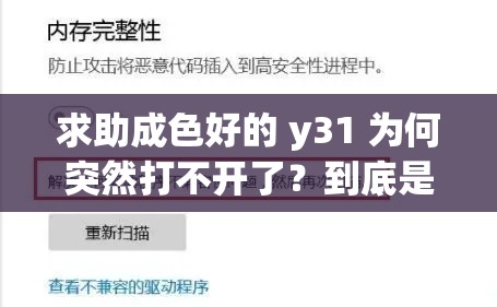 求助成色好的 y31 为何突然打不开了？到底是什么原因导致的？