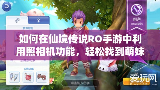 如何在仙境传说RO手游中利用照相机功能，轻松找到萌妹合影并拍出大片感？