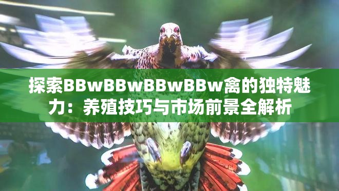 探索BBwBBwBBwBBw禽的独特魅力：养殖技巧与市场前景全解析