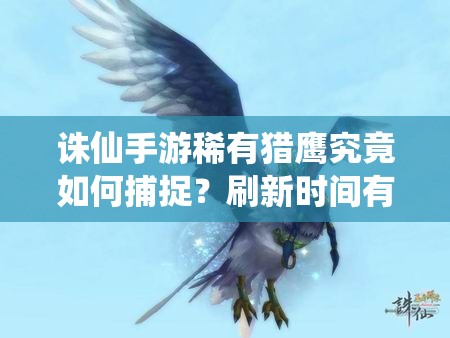 诛仙手游稀有猎鹰究竟如何捕捉？刷新时间有何规律？