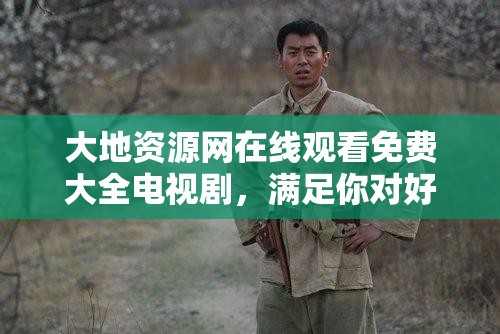 大地资源网在线观看免费大全电视剧，满足你对好剧的所有幻想