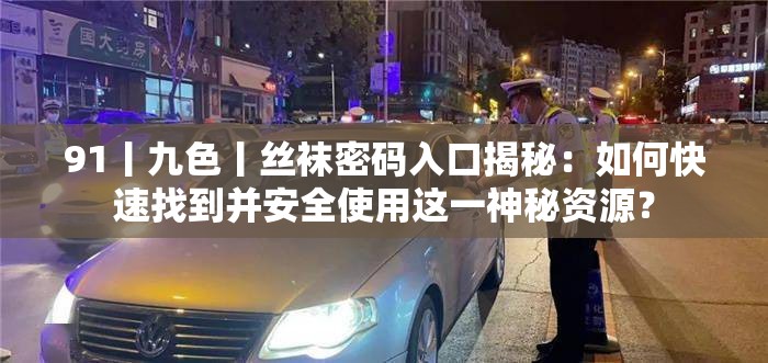 91丨九色丨丝袜密码入口揭秘：如何快速找到并安全使用这一神秘资源？