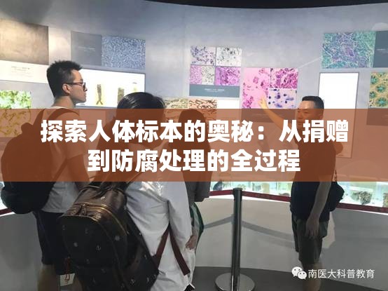 探索人体标本的奥秘：从捐赠到防腐处理的全过程