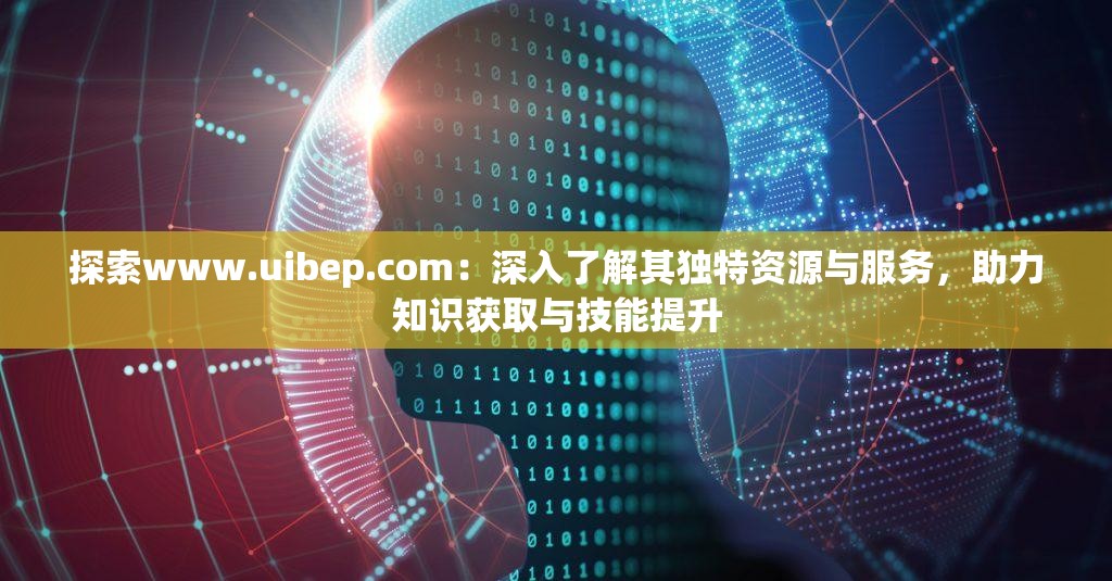 探索www.uibep.com：深入了解其独特资源与服务，助力知识获取与技能提升
