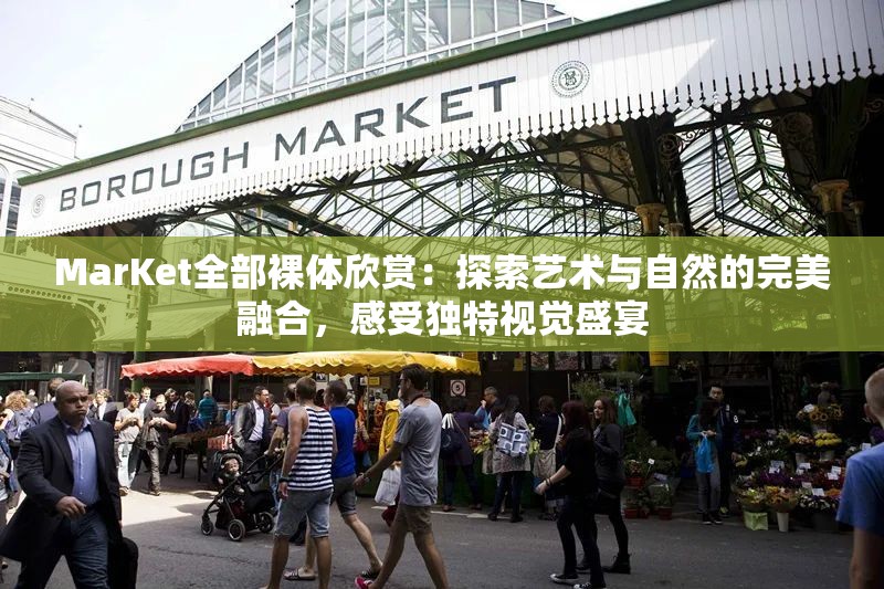 MarKet全部裸体欣赏：探索艺术与自然的完美融合，感受独特视觉盛宴