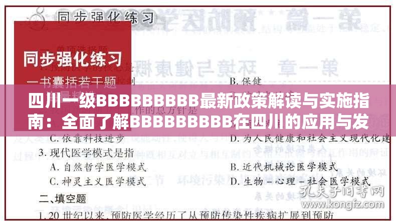 四川一级BBBBBBBBB最新政策解读与实施指南：全面了解BBBBBBBBB在四川的应用与发展