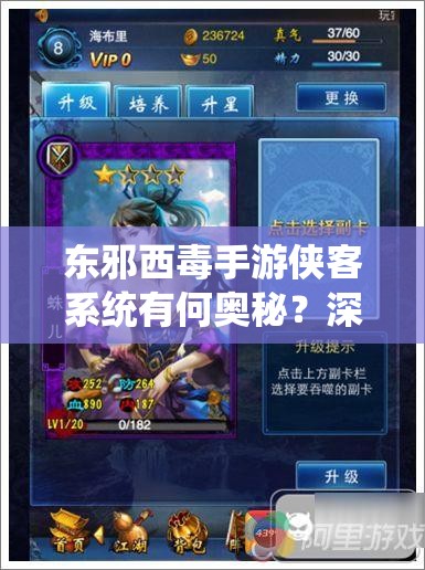 东邪西毒手游侠客系统有何奥秘？深度剖析属性与策略布局揭秘
