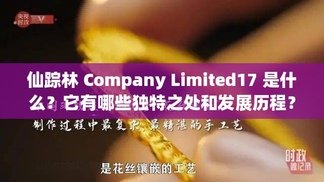 仙踪林 Company Limited17 是什么？它有哪些独特之处和发展历程？