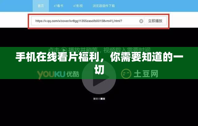 手机在线看片福利，你需要知道的一切