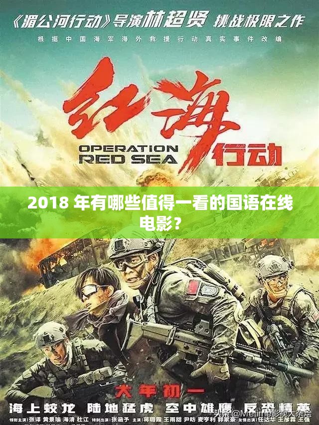 2018 年有哪些值得一看的国语在线电影？