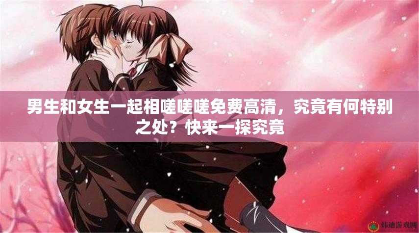 男生和女生一起相嗟嗟嗟免费高清，究竟有何特别之处？快来一探究竟