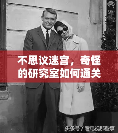 不思议迷宫，奇怪的研究室如何通关？深度技巧解析揭秘悬念！