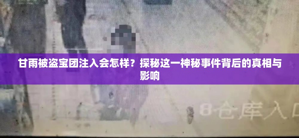 甘雨被盗宝团注入会怎样？探秘这一神秘事件背后的真相与影响