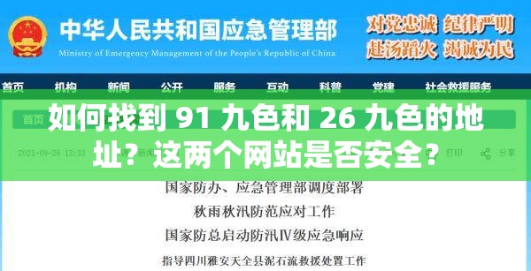 如何找到 91 九色和 26 九色的地址？这两个网站是否安全？