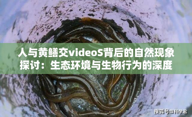 人与黄鳝交videoS背后的自然现象探讨：生态环境与生物行为的深度解析