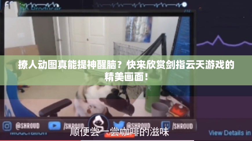 撩人动图真能提神醒脑？快来欣赏剑指云天游戏的精美画面！