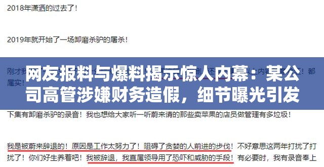 网友报料与爆料揭示惊人内幕：某公司高管涉嫌财务造假，细节曝光引发热议