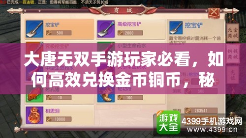 大唐无双手游玩家必看，如何高效兑换金币铜币，秘籍大揭秘？