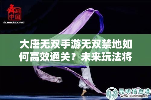 大唐无双手游无双禁地如何高效通关？未来玩法将有哪些革命性变革？