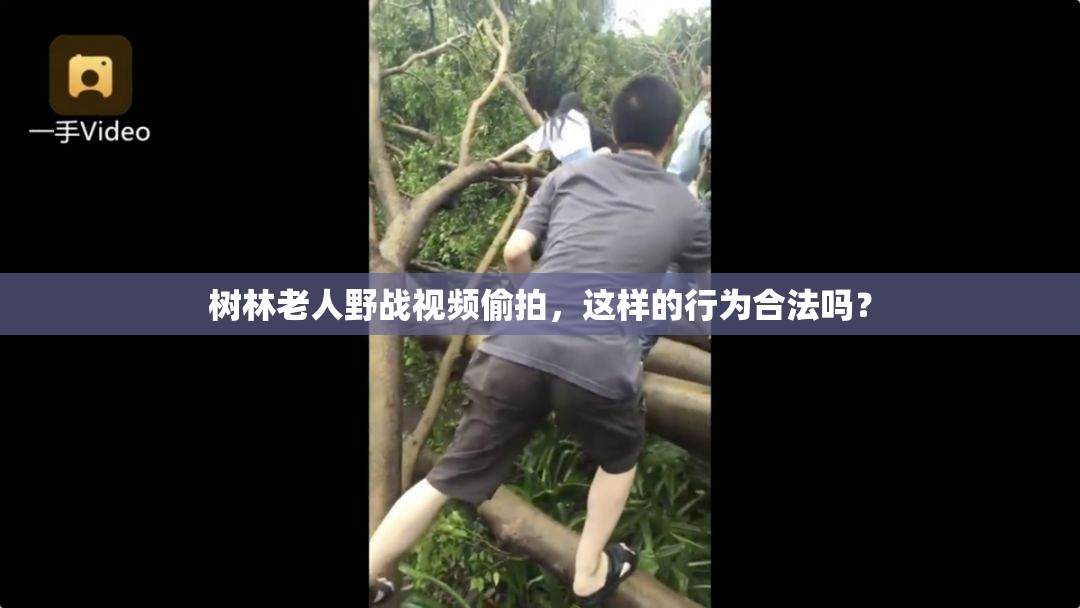 树林老人野战视频偷拍，这样的行为合法吗？