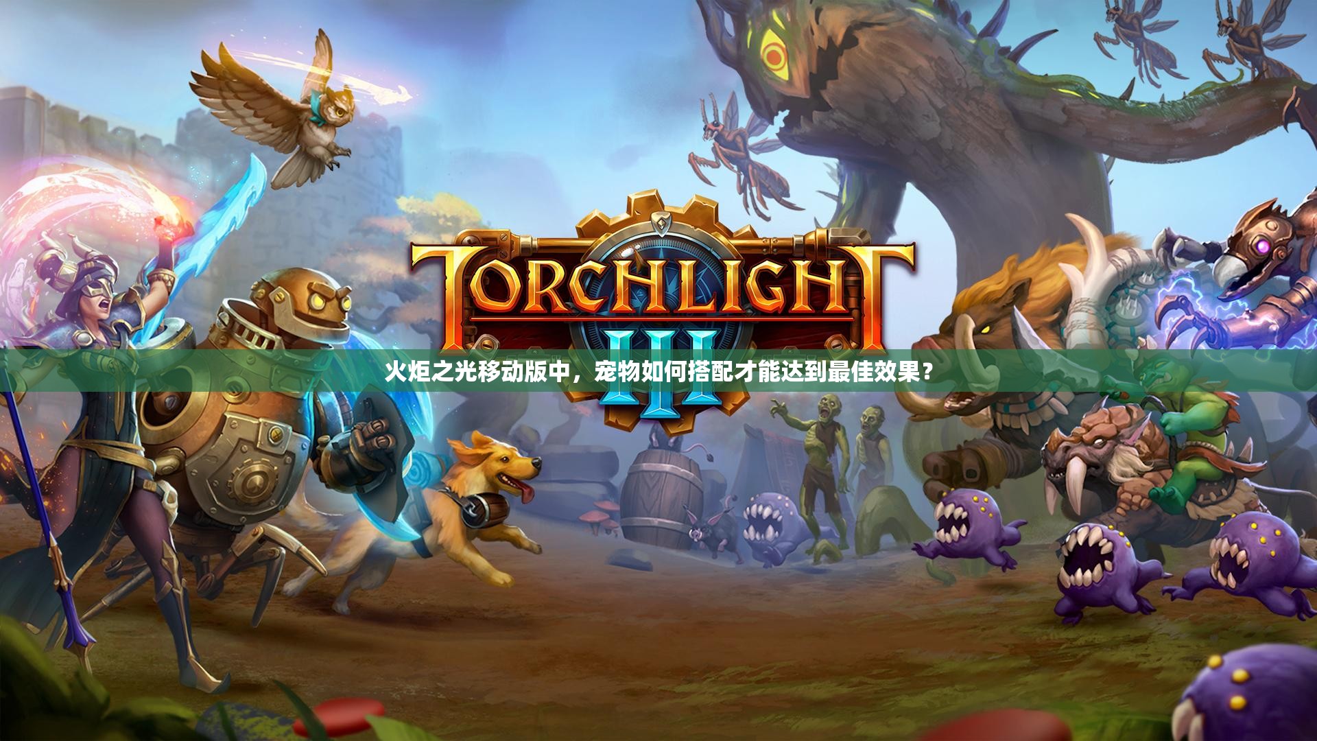 火炬之光移动版中，宠物如何搭配才能达到最佳效果？