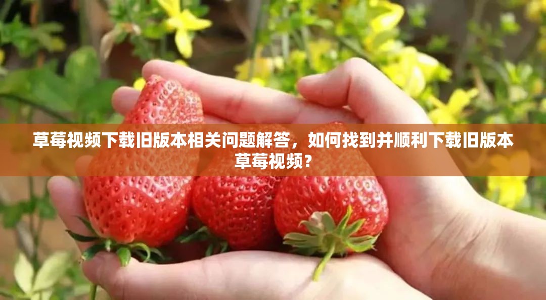 草莓视频下载旧版本相关问题解答，如何找到并顺利下载旧版本草莓视频？