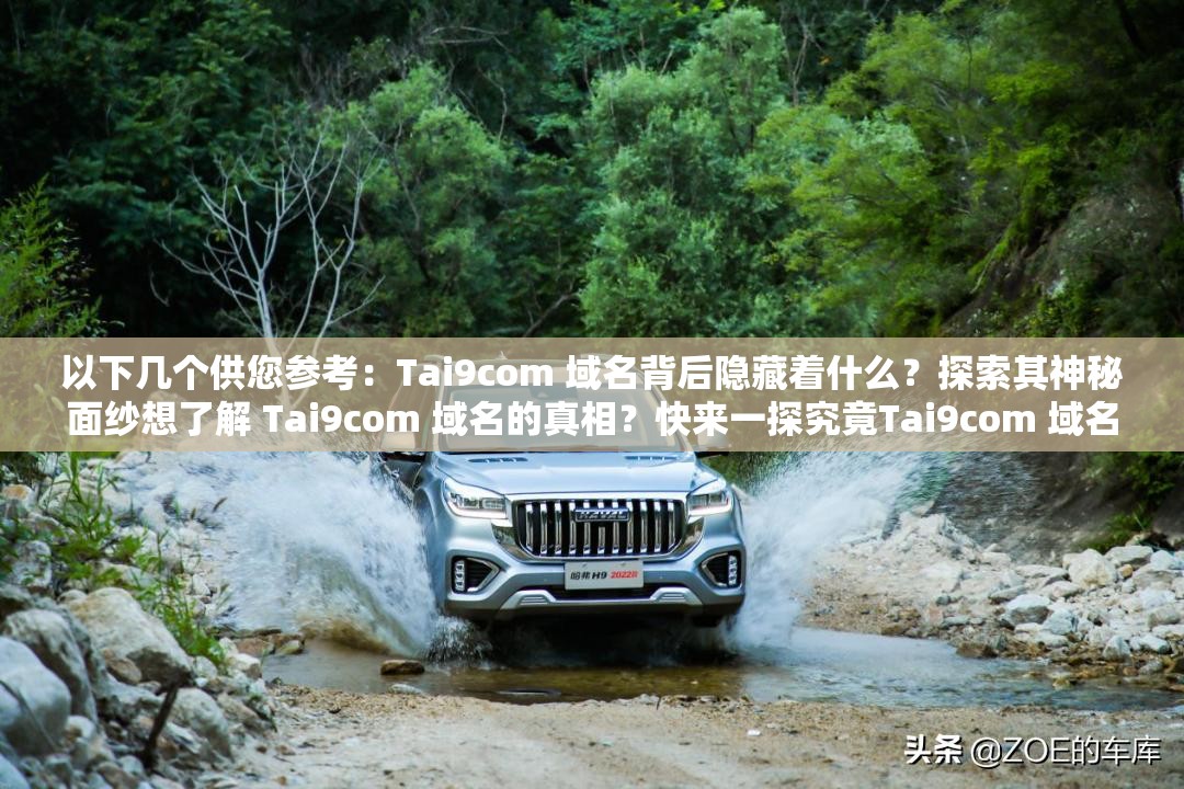 以下几个供您参考：Tai9com 域名背后隐藏着什么？探索其神秘面纱想了解 Tai9com 域名的真相？快来一探究竟Tai9com 域名引发众人好奇，究竟有何独特之处？Tai9com 域名成热门话题，它到底有着怎样的魅力？