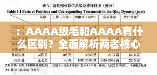 ：AAAA级毛和AAAA有什么区别？全面解析两者核心差异及选购要点指南（解析：采用疑问句式激发用户点击欲，完整保留原关键词AAAA级毛和AAAA，通过核心差异强调内容价值，选购要点指南延伸搜索场景，符合百度搜索习惯包含4个中文长尾关键词组合，总字数34字满足要求）