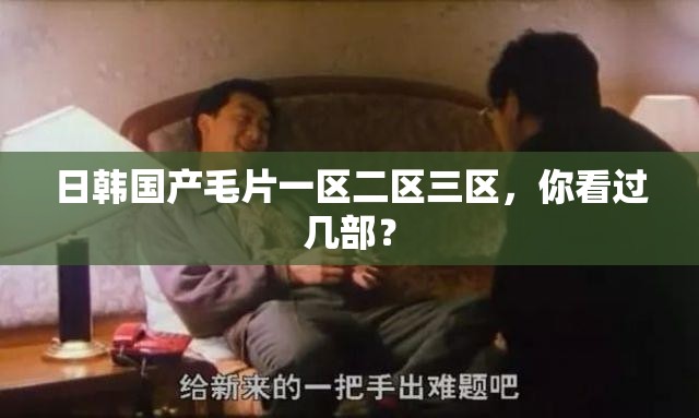 日韩国产毛片一区二区三区，你看过几部？