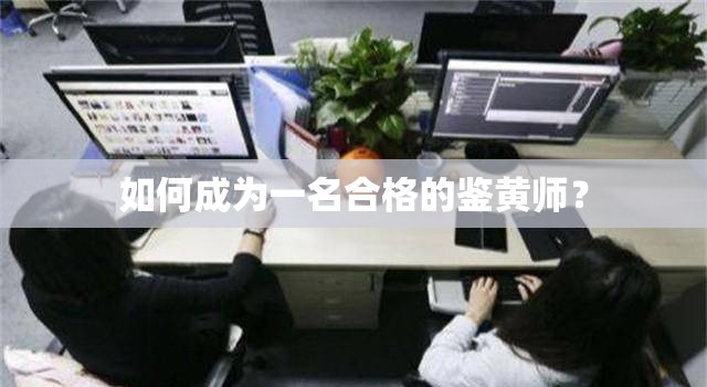 如何成为一名合格的鉴黄师？