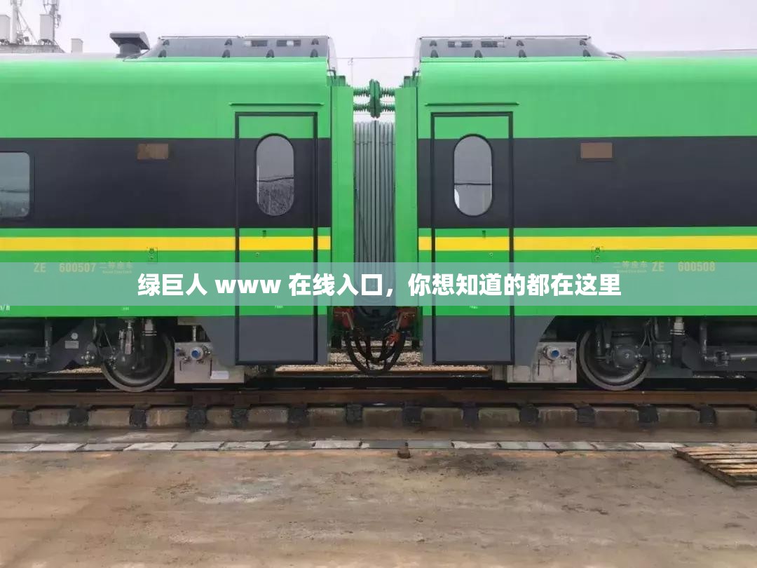 绿巨人 www 在线入囗，你想知道的都在这里