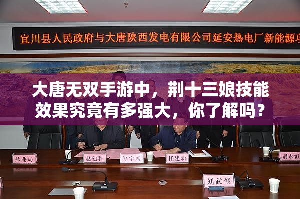 大唐无双手游中，荆十三娘技能效果究竟有多强大，你了解吗？