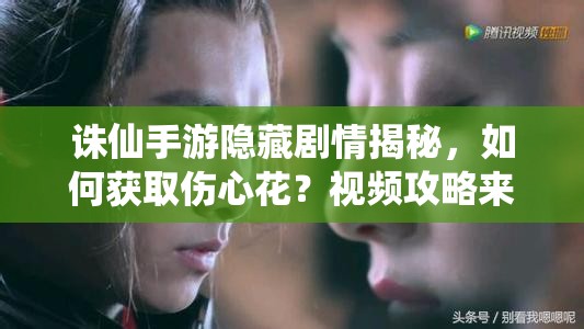 诛仙手游隐藏剧情揭秘，如何获取伤心花？视频攻略来了！