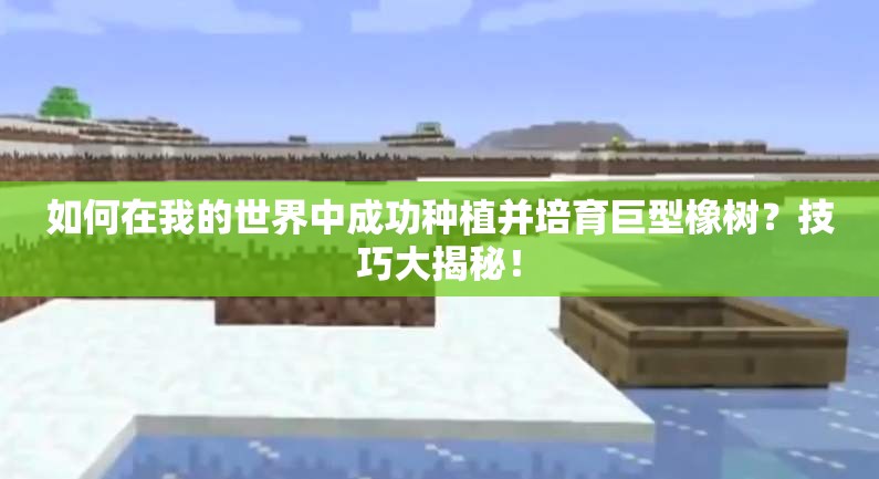 如何在我的世界中成功种植并培育巨型橡树？技巧大揭秘！