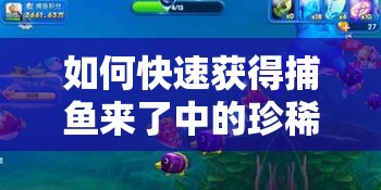 如何快速获得捕鱼来了中的珍稀海洋之心？技巧攻略揭秘！
