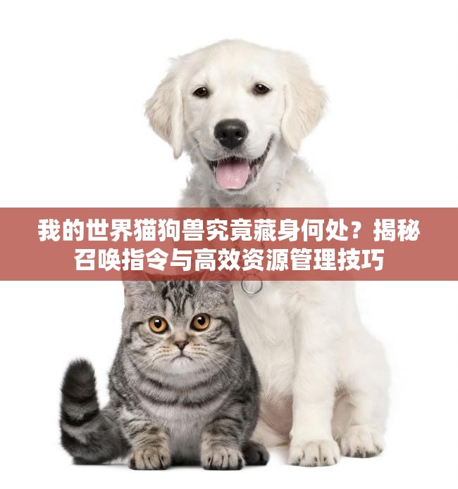 我的世界猫狗兽究竟藏身何处？揭秘召唤指令与高效资源管理技巧