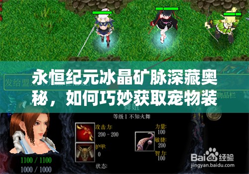 永恒纪元冰晶矿脉深藏奥秘，如何巧妙获取宠物装备成悬念？