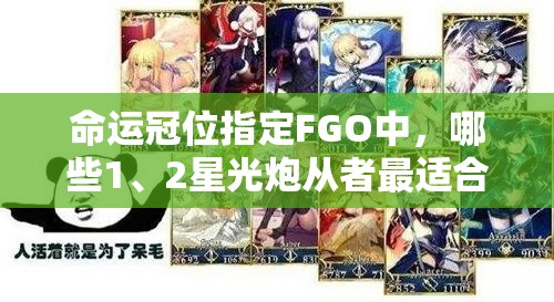 命运冠位指定FGO中，哪些1、2星光炮从者最适合速刷狗粮本？