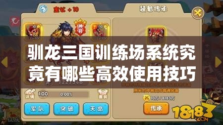 驯龙三国训练场系统究竟有哪些高效使用技巧，深度解析带你揭秘？
