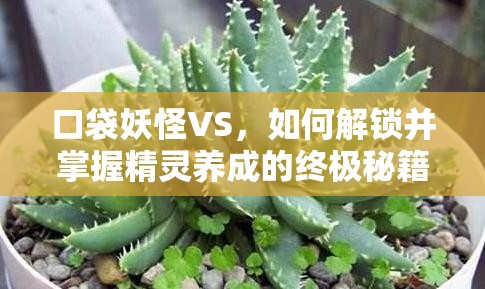 口袋妖怪VS，如何解锁并掌握精灵养成的终极秘籍？