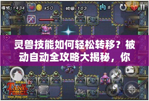 灵兽技能如何轻松转移？被动自动全攻略大揭秘，你掌握了吗？