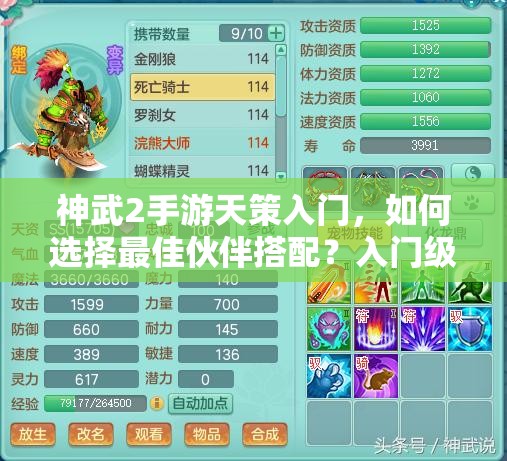 神武2手游天策入门，如何选择最佳伙伴搭配？入门级攻略揭秘！