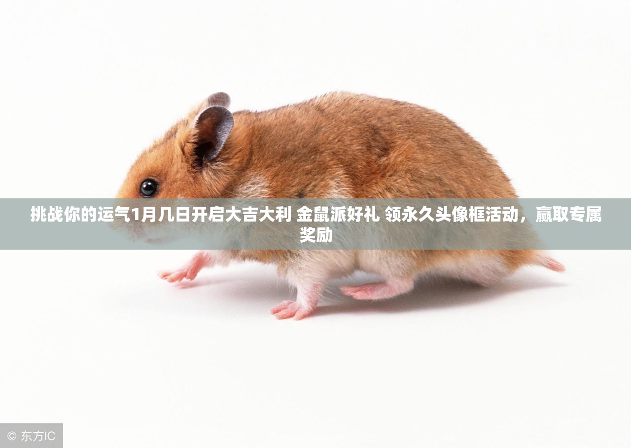 挑战你的运气1月几日开启大吉大利 金鼠派好礼 领永久头像框活动，赢取专属奖励