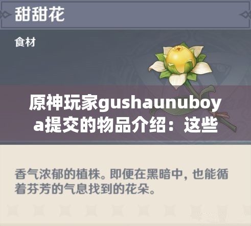 原神玩家gushaunuboya提交的物品介绍：这些道具背后隐藏着怎样的故事与秘密？