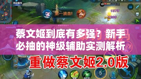 蔡文姬到底有多强？新手必抽的神级辅助实测解析！