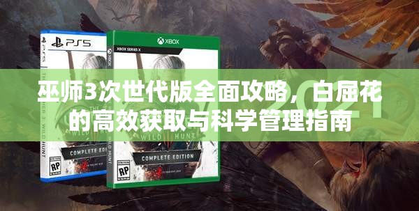 巫师3次世代版全面攻略,白屈花的高效获取与科学管理指南 巫师3次世代版全面攻略,白屈花的高效获取与科学管理指南